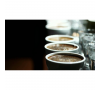 coffee_advisor