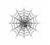 Spider Systems | Информационные технологии