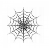 Spider Systems | Информационные технологии