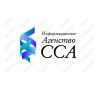 ЧП Информационное Агентство ССА
