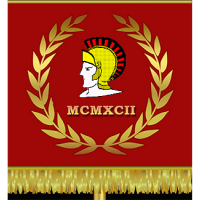 Компания Программист