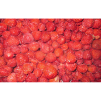 ООО "СлавХолод"