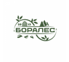 Боралес